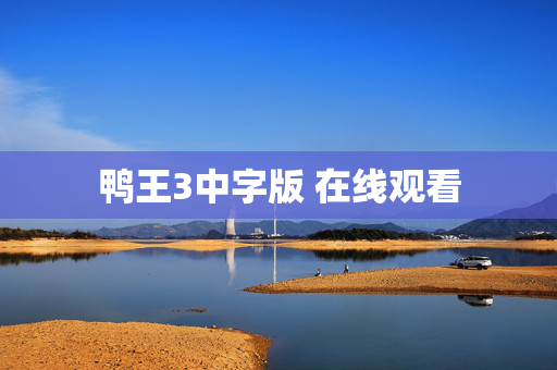 鸭王3中字版 在线观看