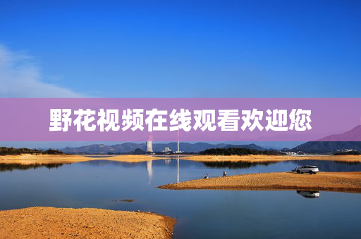 野花视频在线观看欢迎您