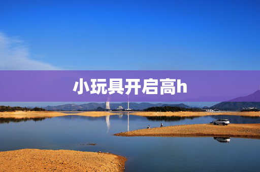 小玩具开启高h