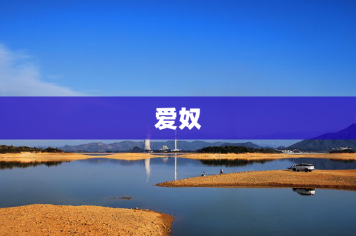爱奴