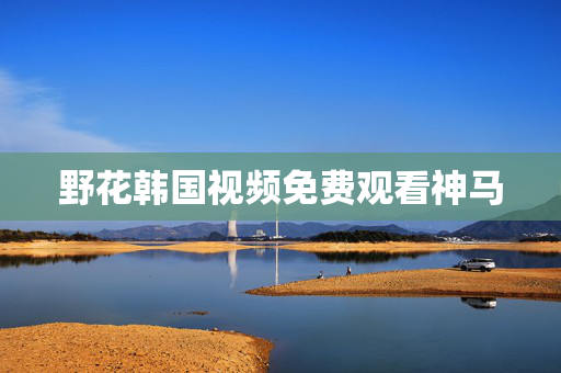 野花韩国视频免费观看神马