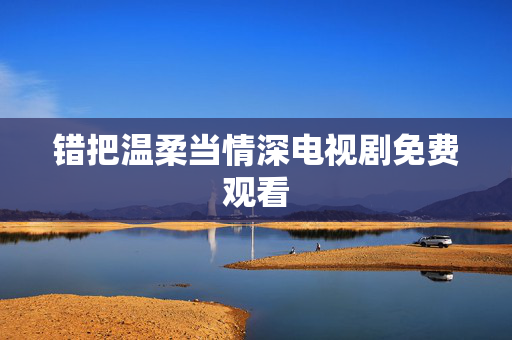 错把温柔当情深电视剧免费观看