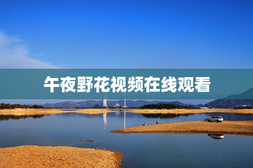 午夜野花视频在线观看