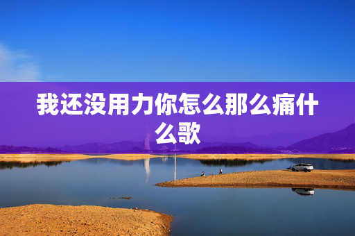 我还没用力你怎么那么痛什么歌 我还没用力你怎么那么痛什么歌