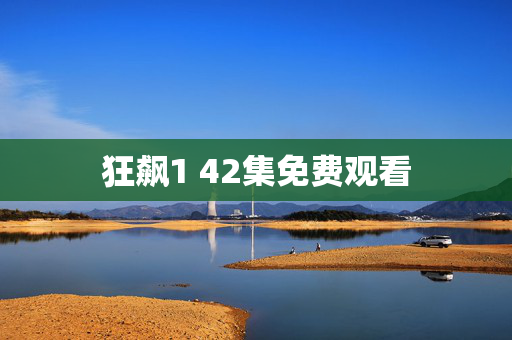 狂飙1 42集免费观看