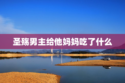 圣殇男主给他妈妈吃了什么