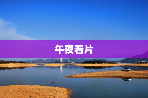 午夜看片