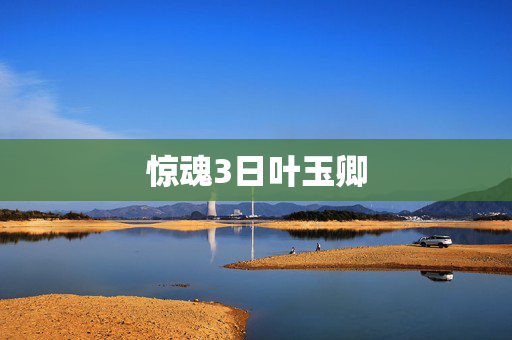 惊魂3日叶玉卿