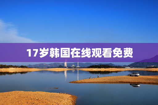 17岁韩国在线观看免费