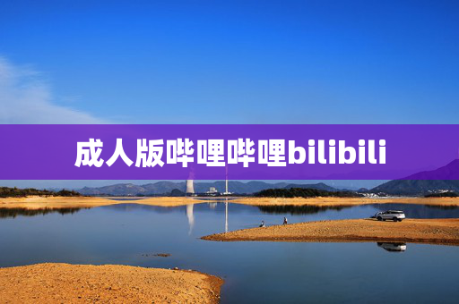 成人版哔哩哔哩bilibili