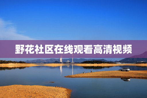 野花社区在线观看高清视频