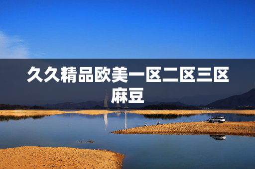 久久精品欧美一区二区三区麻豆