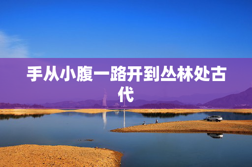 手从小腹一路开到丛林处古代