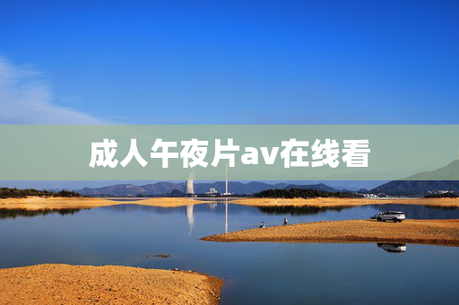 成人午夜片av在线看