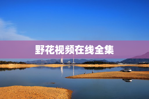 野花视频在线全集
