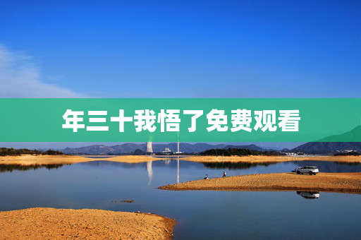 年三十我悟了免费观看