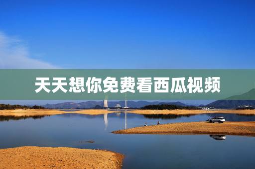 天天想你免费看西瓜视频