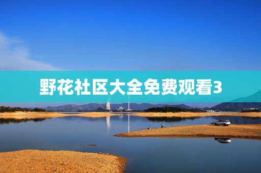 野花社区大全免费观看3