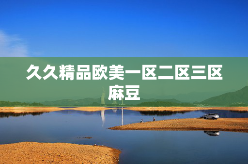 久久精品欧美一区二区三区麻豆