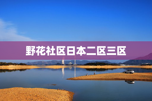 野花社区日本二区三区