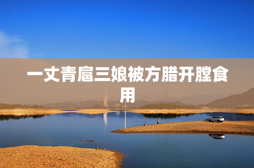 一丈青扈三娘被方腊开膛食用