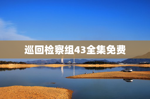 巡回检察组43全集免费