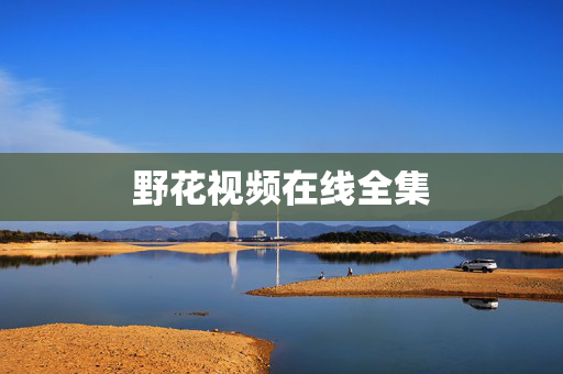 野花视频在线全集