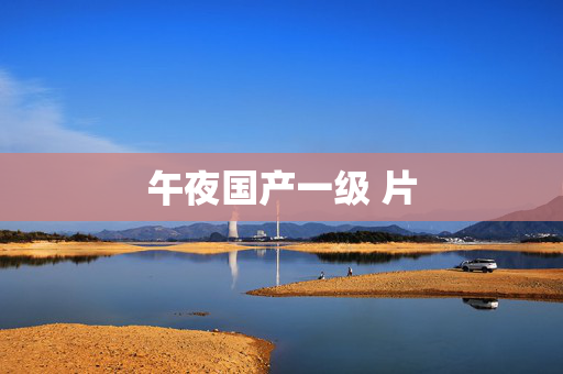 午夜国产一级 片