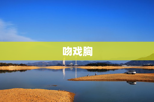 吻戏胸