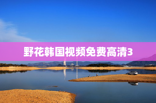 野花韩国视频免费高清3
