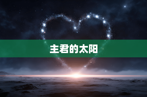 主君的太阳