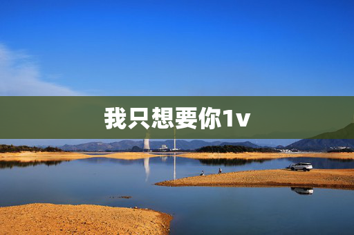 我只想要你1v