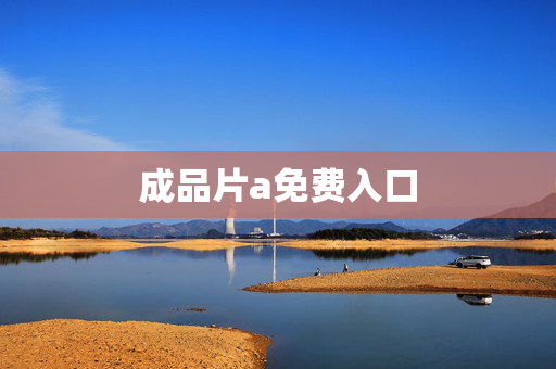 成品片a免费入口