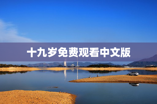 十九岁免费观看中文版