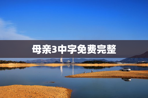 母亲3中字免费完整