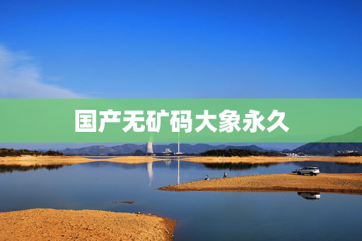 国产无矿码大象永久