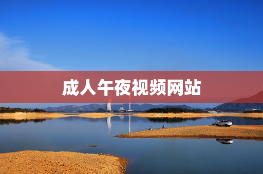 成人午夜视频网站