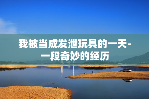我被当成发泄玩具的一天-一段奇妙的经历