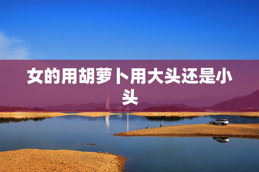 女的用胡萝卜用大头还是小头