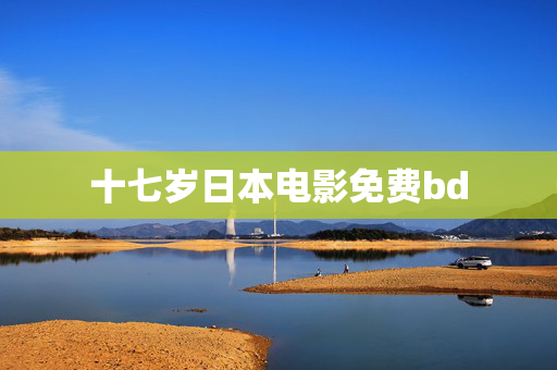十七岁日本电影免费bd