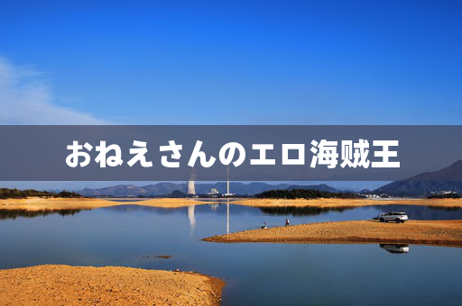 おねえさんのエロ海贼王