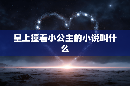 皇上撞着小公主的小说叫什么