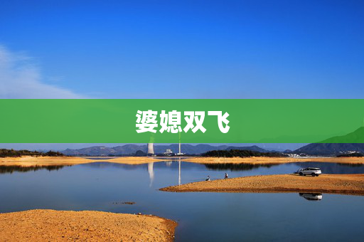 婆媳双飞