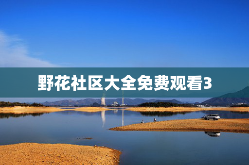 野花社区大全免费观看3