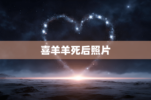 喜羊羊死后照片