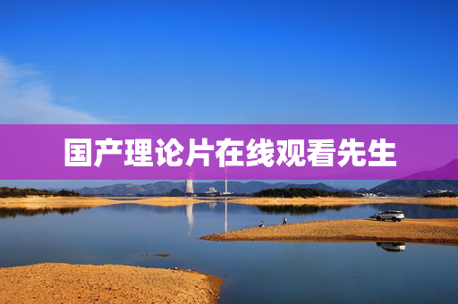 国产理论片在线观看先生