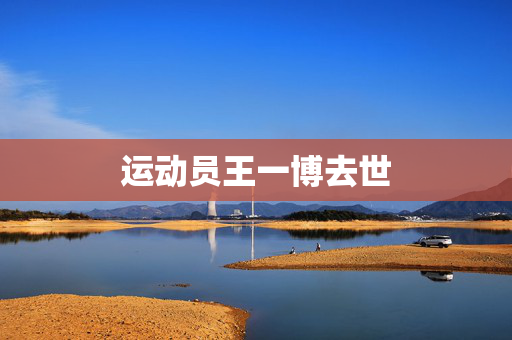 运动员王一博去世