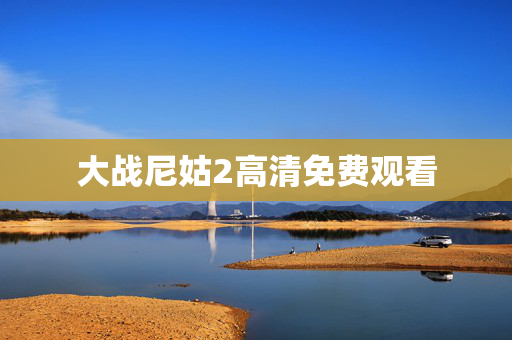 大战尼姑2高清免费观看