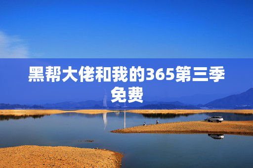 黑帮大佬和我的365第三季免费