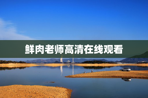 鲜肉老师高清在线观看